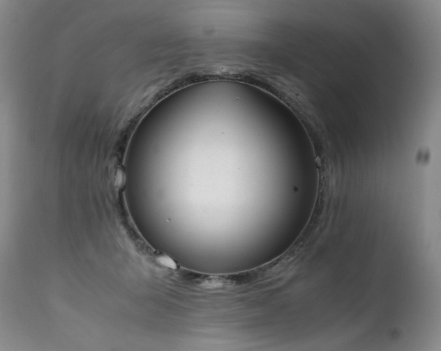 X0000111450415200907131333