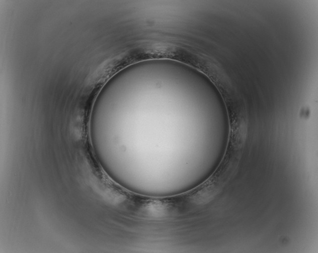 X0000111450416200907131333
