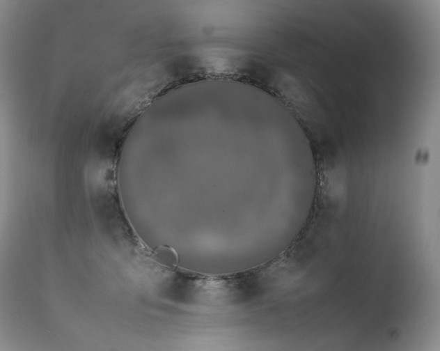 X0000111450419200907131333