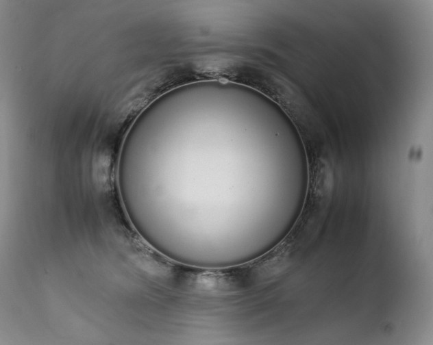 X0000111450420200907131333