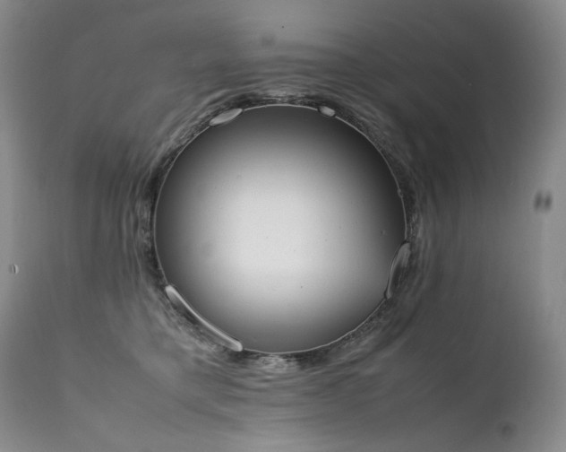 X0000111450421200907131333