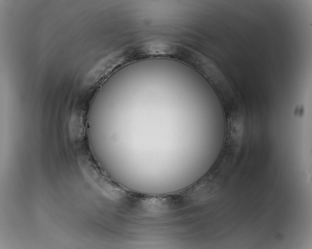 X0000111450422200907131333