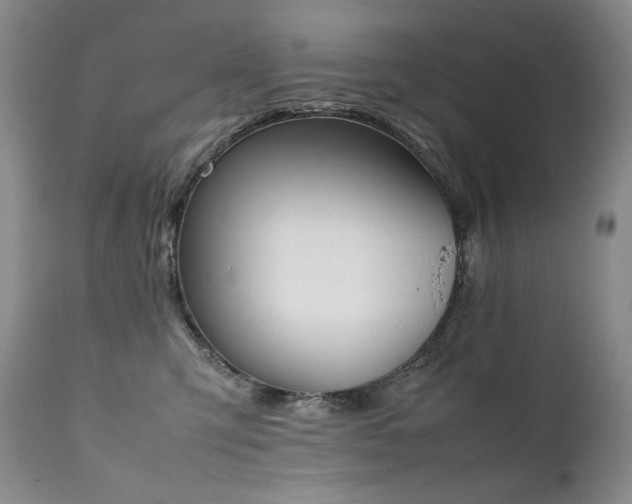 X0000111450423200907131333