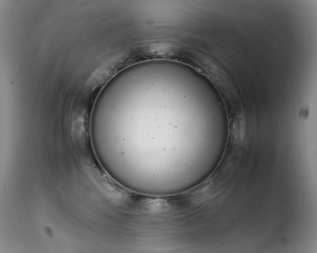 X0000111450424200907131333
