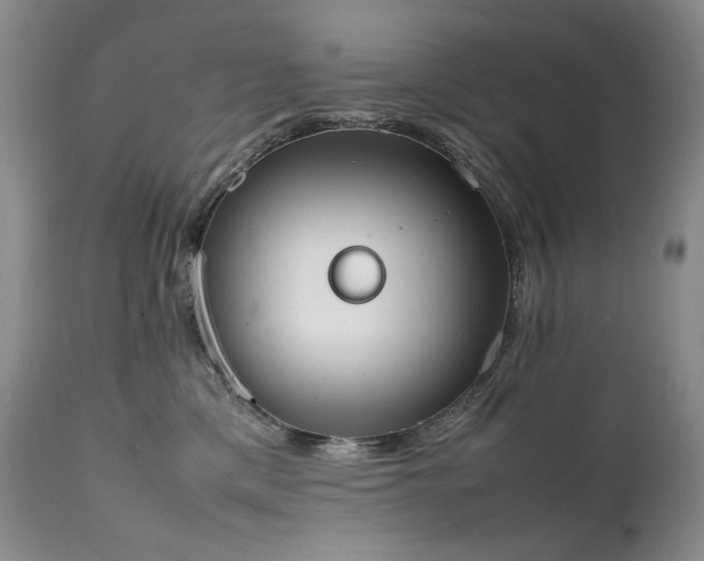 X0000111450425200907131333