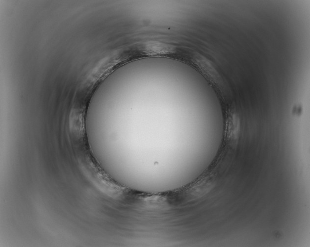 X0000111450426200907131333