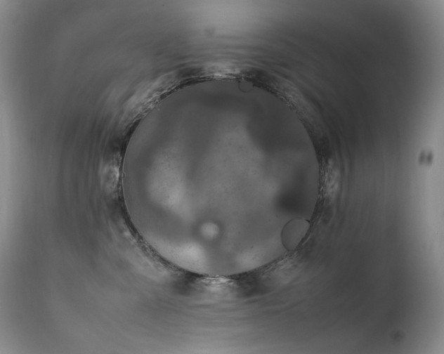 X0000111450427200907131333