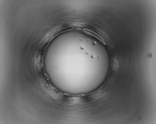 X0000111450428200907131333