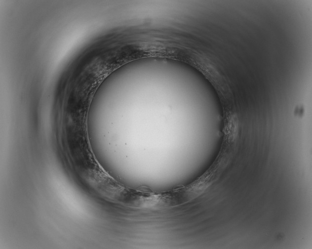 X0000111450430200907131333