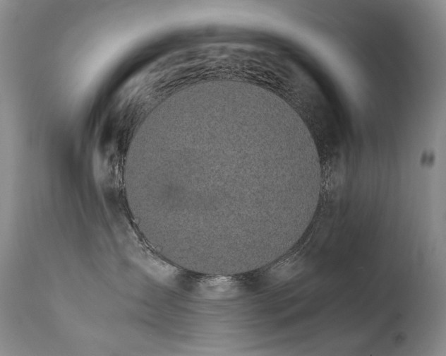 X0000111450431200907131333