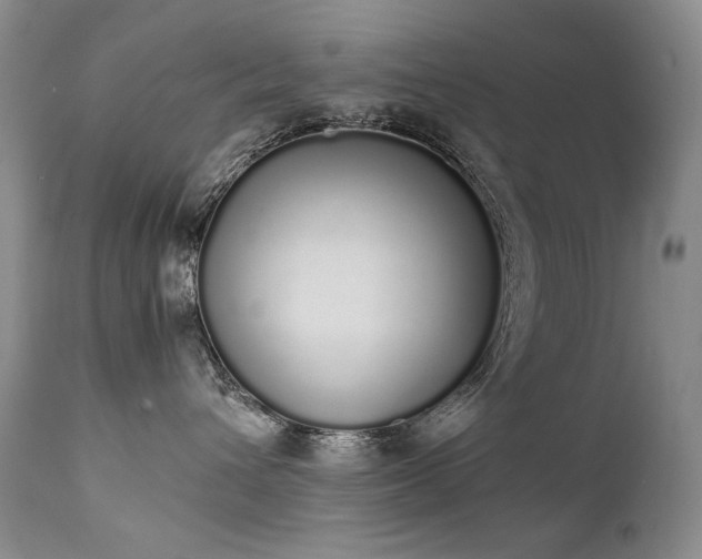 X0000111450432200907131333