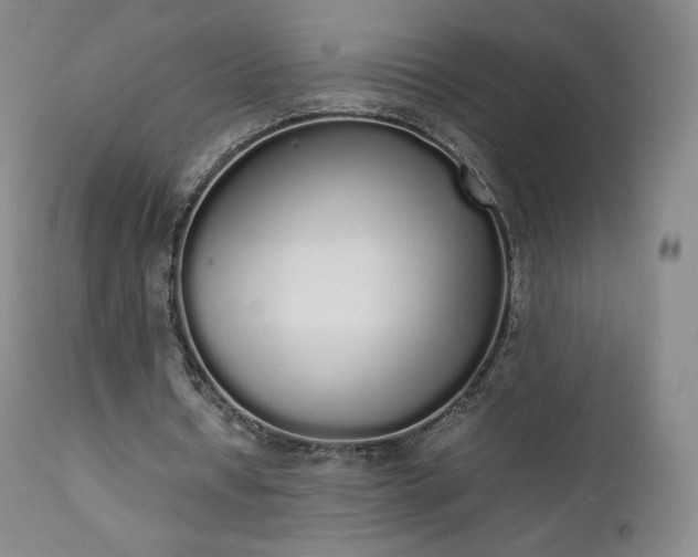 X0000111450434200907131332