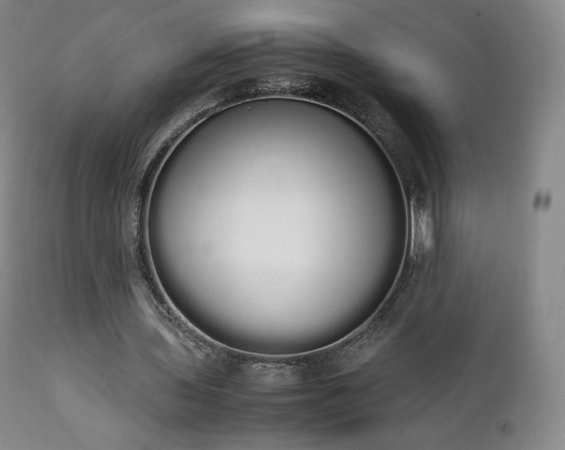 X0000111450435200907131332