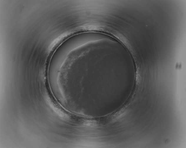 X0000111450438200907131332