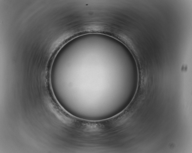X0000111450439200907131332
