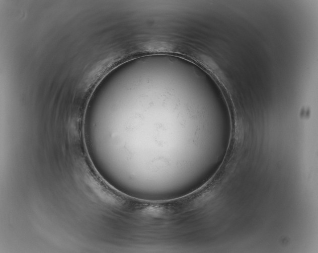 X0000111450441200907131332