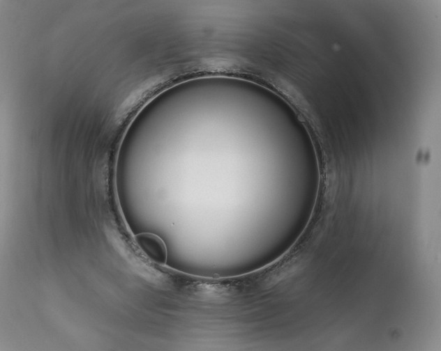 X0000111450442200907131332