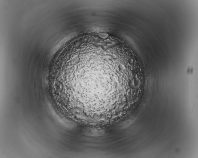 X0000111450443200907131332
