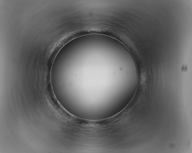 X0000111450444200907131332