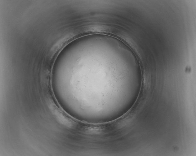 X0000111450445200907131332
