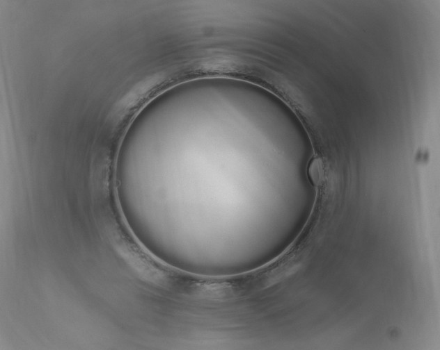 X0000111450446200907131332