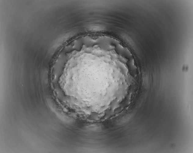 X0000111450447200907131332