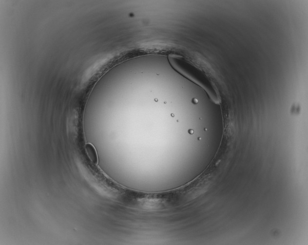 X0000111450448200907131332