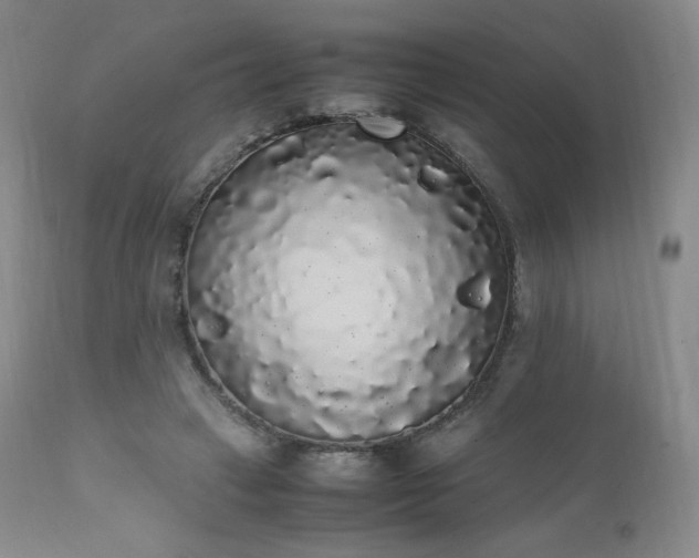 X0000111450449200907131333