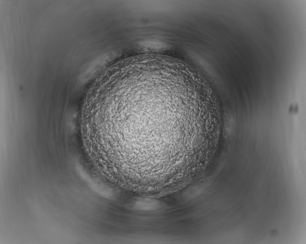 X0000111450451200907131333