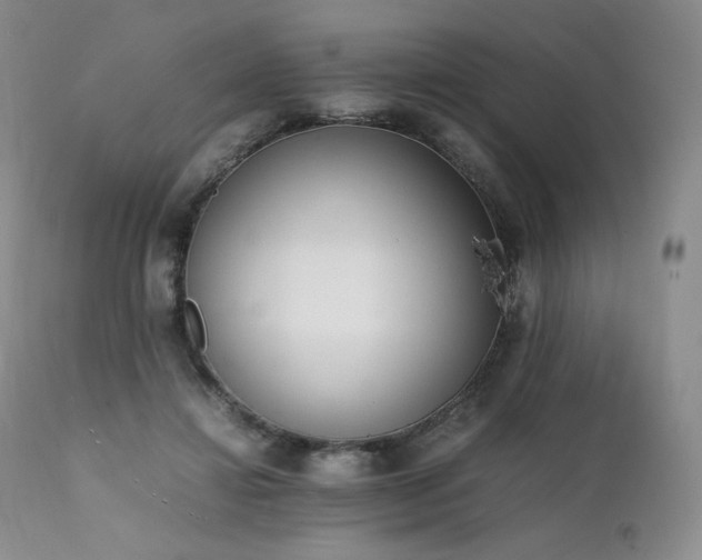 X0000111450452200907131333
