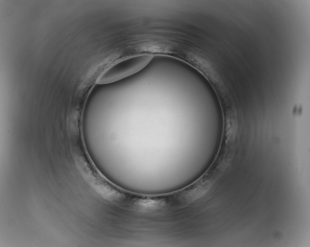 X0000111450453200907131333