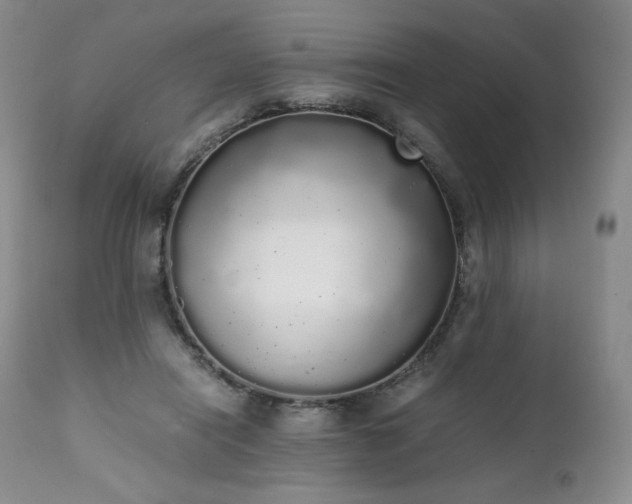 X0000111450454200907131333