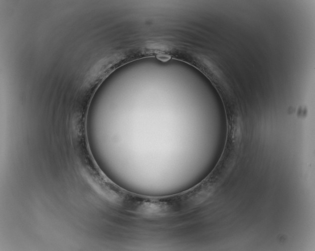 X0000111450455200907131333