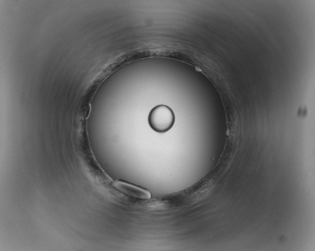 X0000111450456200907131333