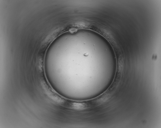 X0000111450457200907131333