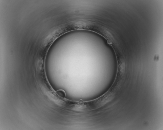 X0000111450458200907131333