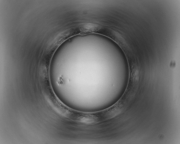 X0000111450459200907131333