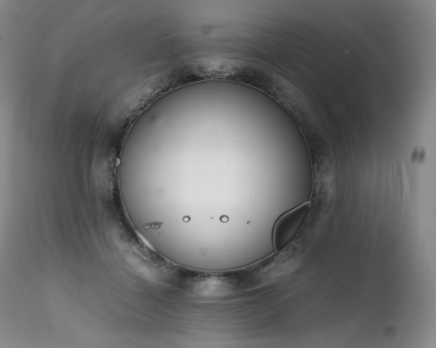 X0000111450460200907131333