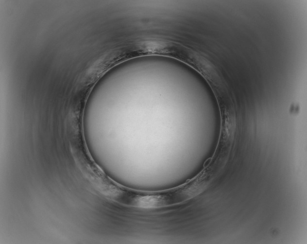 X0000111450461200907131333
