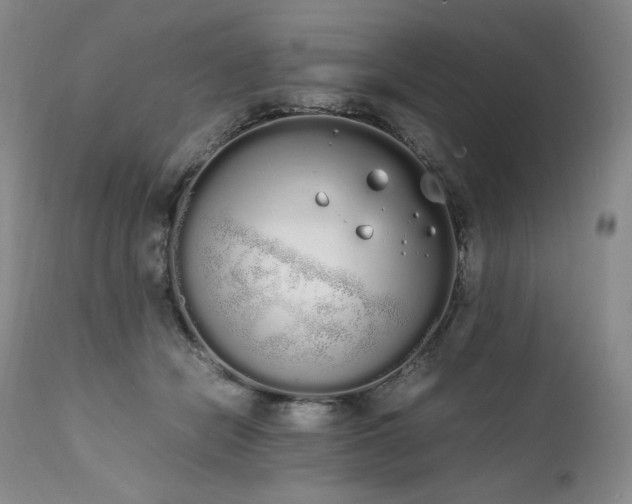 X0000111450462200907131333