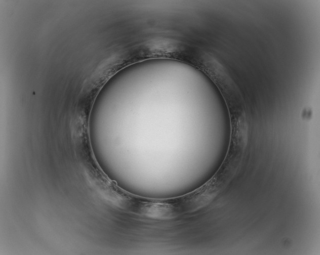 X0000111450463200907131333