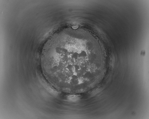 X0000111450465200907131333