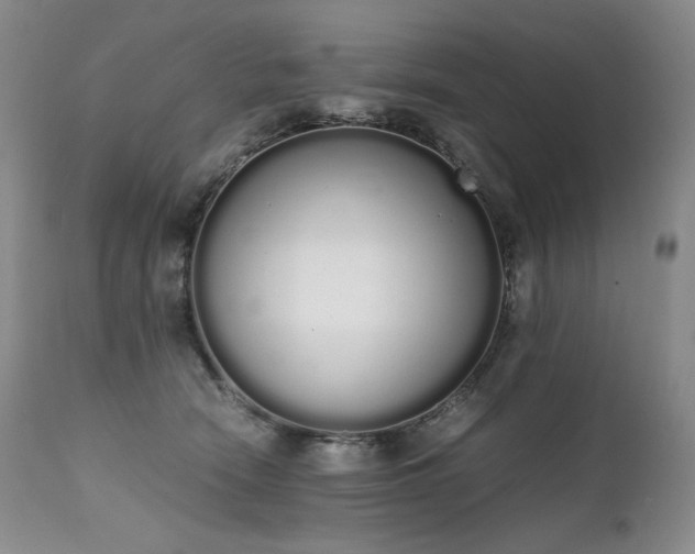 X0000111450466200907131333