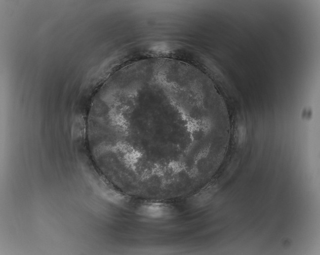 X0000111450467200907131333
