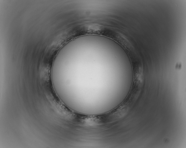 X0000111450468200907131333
