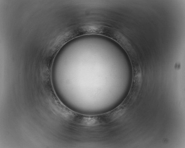 X0000111450469200907131333