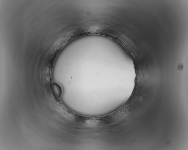 X0000111450470200907131333