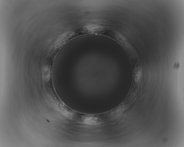 X0000111450471200907131333