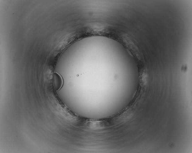 X0000111450472200907131333