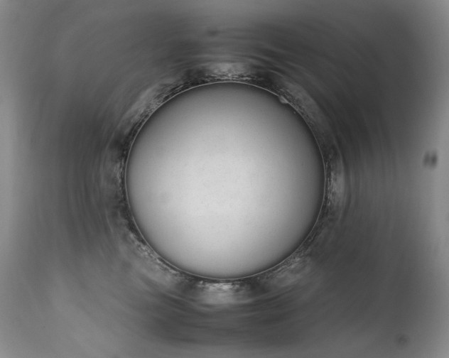 X0000111450473200907131333